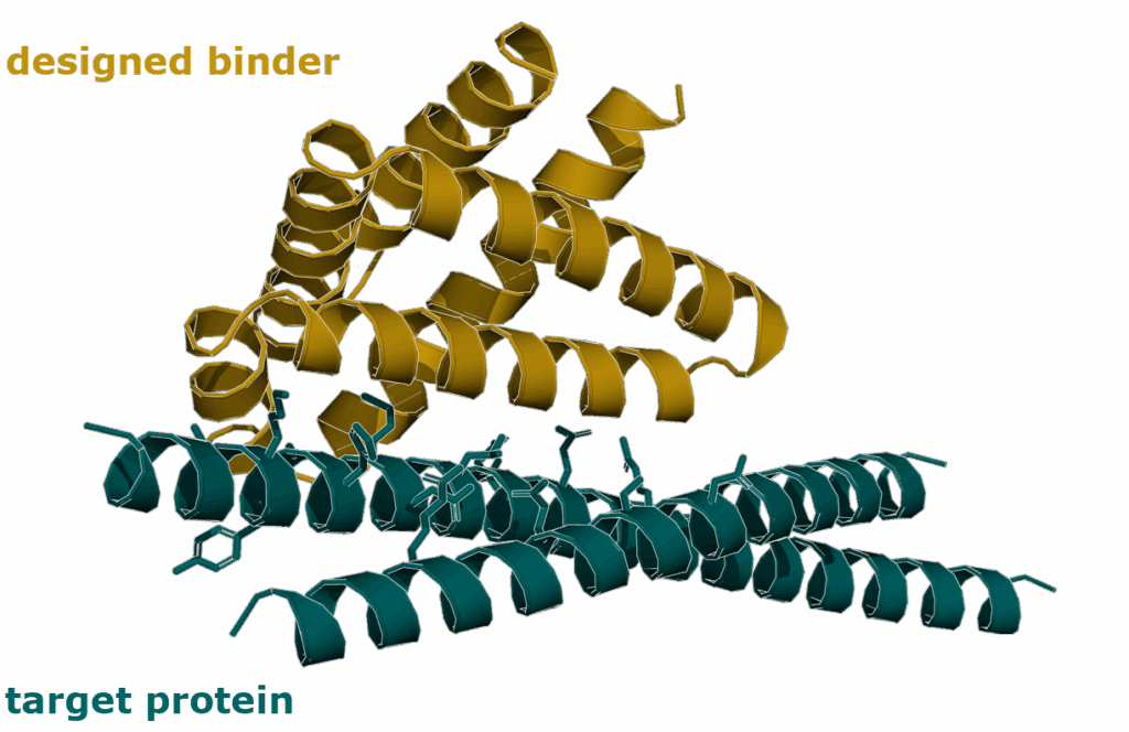 AI based protein design