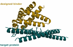 AI based protein design