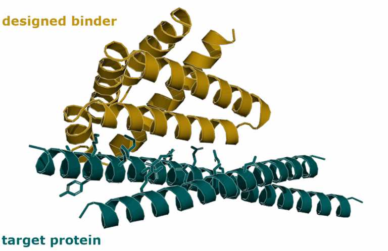 AI based protein design