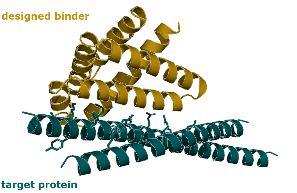 AI based protein design