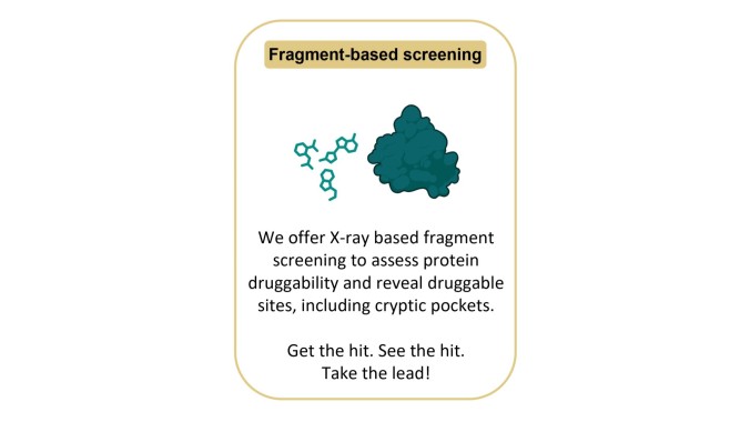 Fragment-based screening