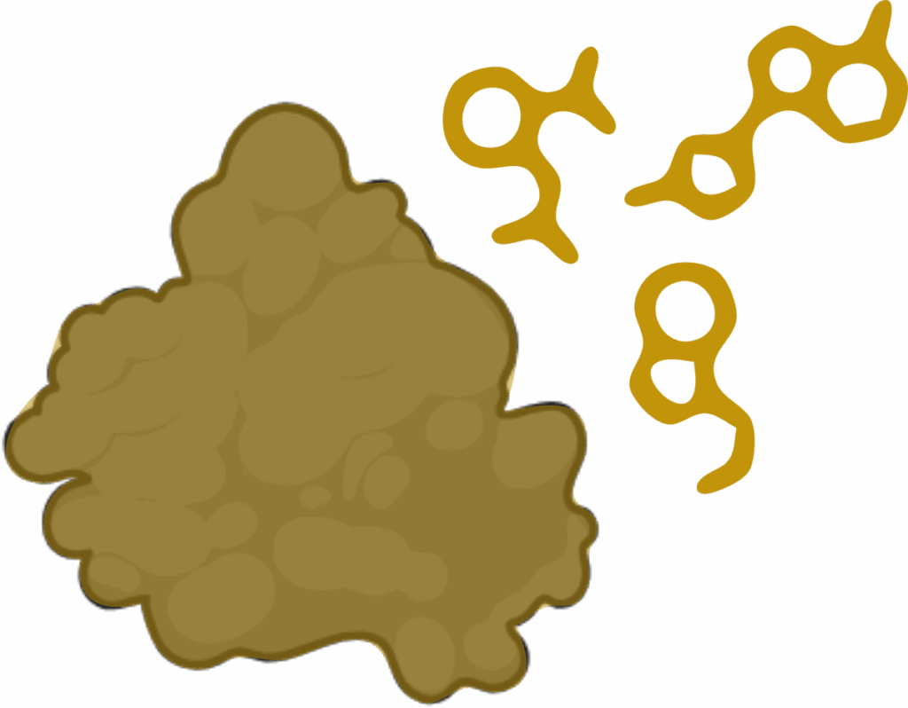 Fragment-based screening
