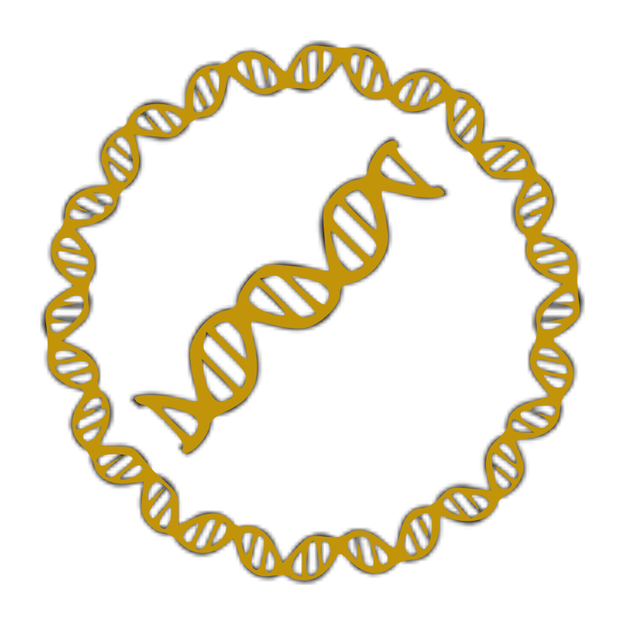 Gene to protein