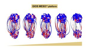 GIOS MESO TM platform