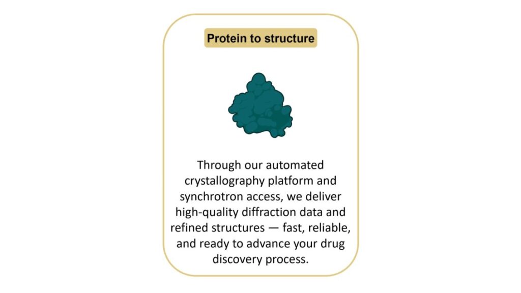 Protein to structure