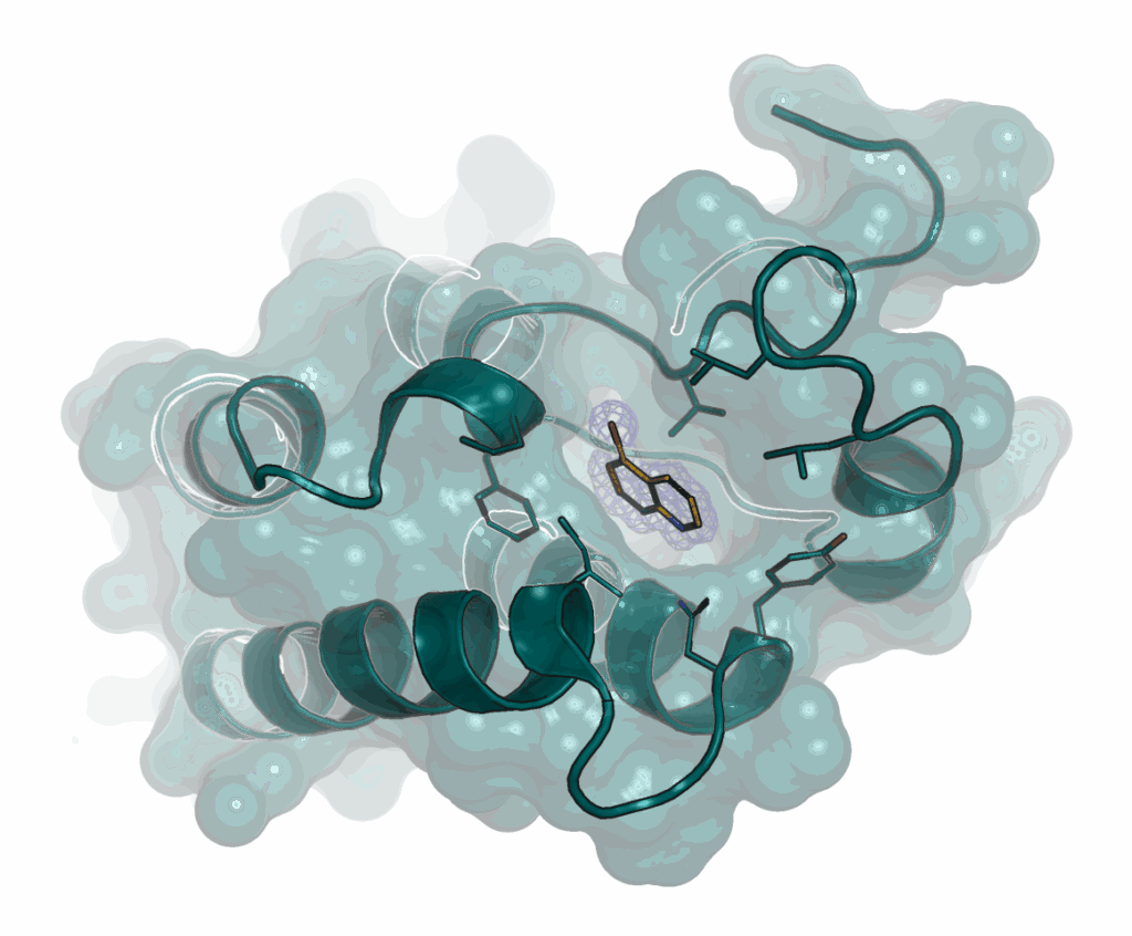 Fragment based screening