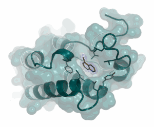 Fragment based screening