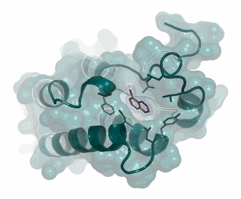 Fragment based screening