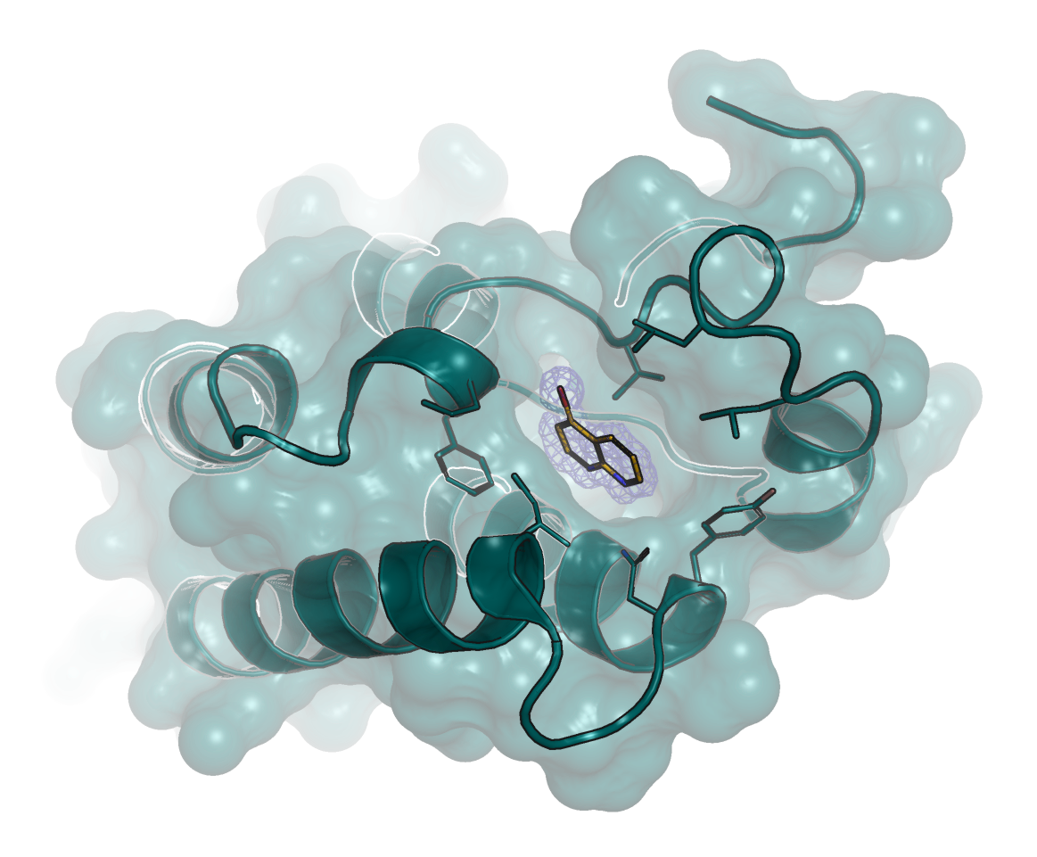 Fragment based screening
